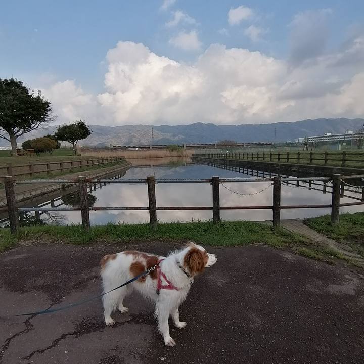 0d85d1a4 6c85 4327 ac1b 3eebd6436a32 1616662175665