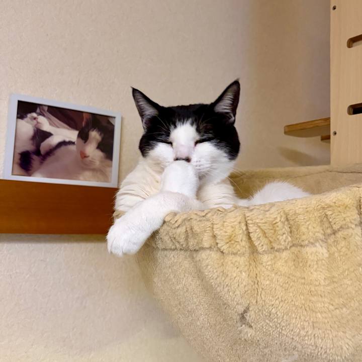 0d85d91e 38d9 4813 a75f 61c86da1e645 1770393366465