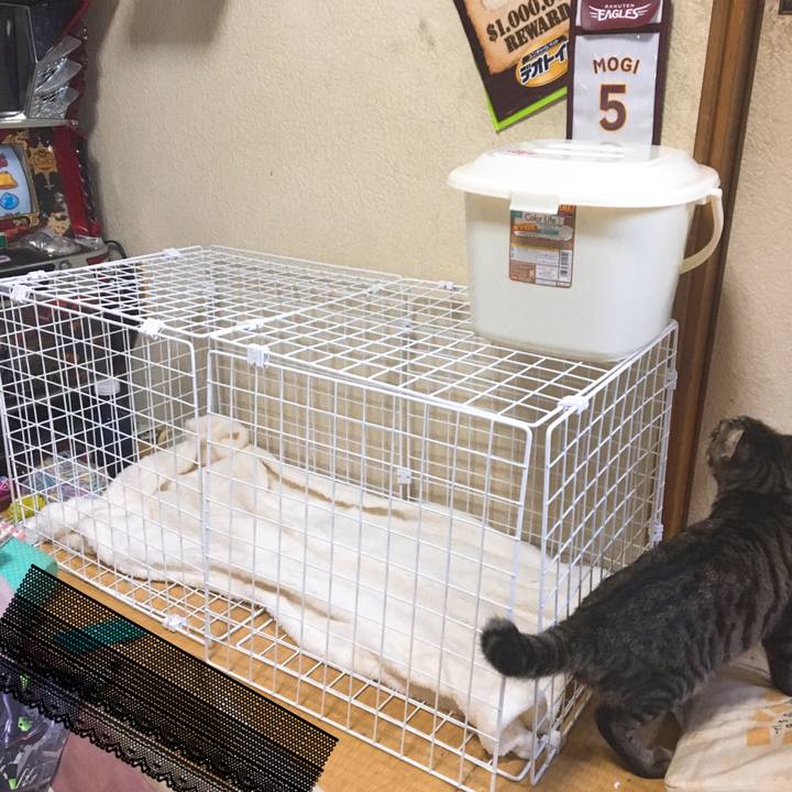 0d86b274 308d 4c8b 9061 f56dc1b02e46 1542609486926