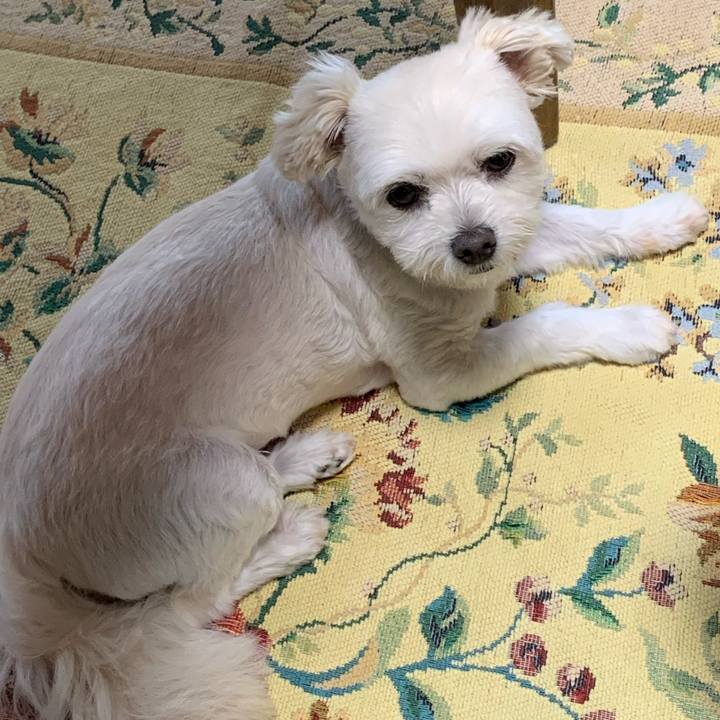 0d86d965 a668 4334 87a3 ba50484f2731 1629772912402