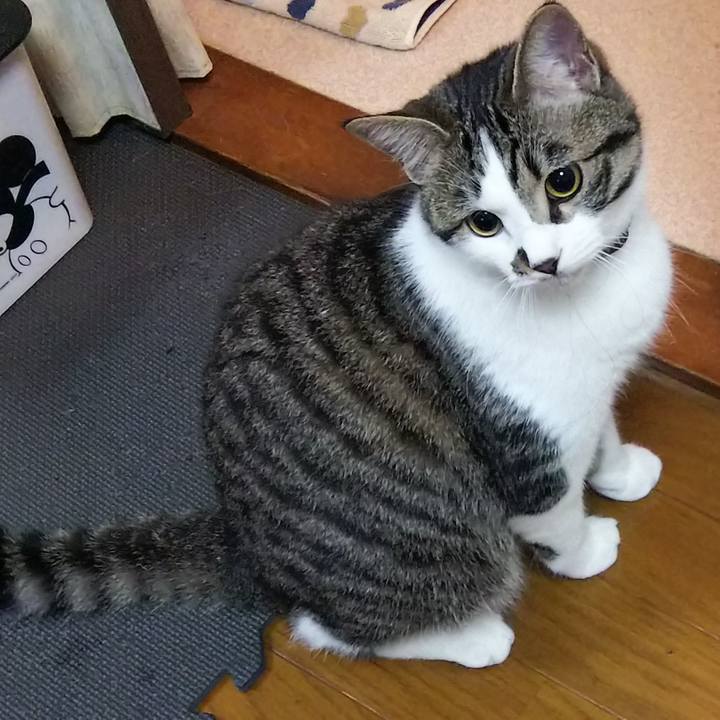 0d86eca7 8529 4343 879a 28ee5b469cc4 1621250290052