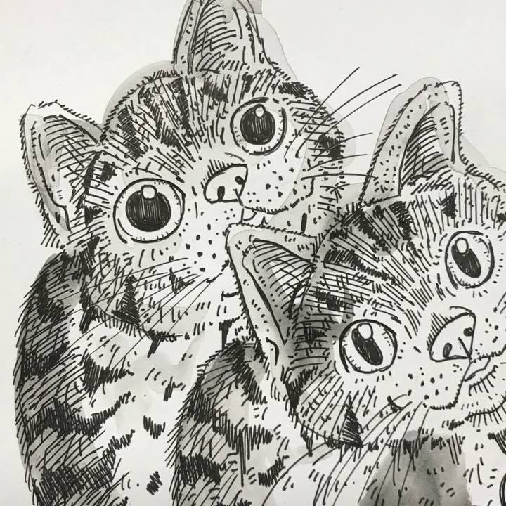 0d86f7ec 338d 4aee ade8 9f685d440b07 1537687018247