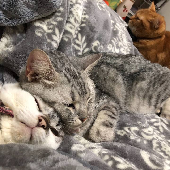 0d872b05 04b1 4b3a 8c21 31ca62257639 1580917495385