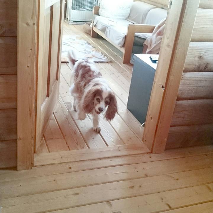 0d873682 5002 4489 a069 8cb3c1f94af9 1551609015552