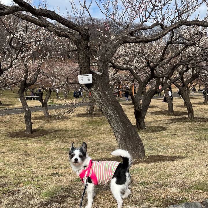 0d877467 83d4 4c72 80eb 0a1641552b22 1708231559610