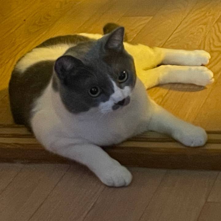 0d87dc90 2dd5 414e bcca 7ec78134f0ed 1627418486466