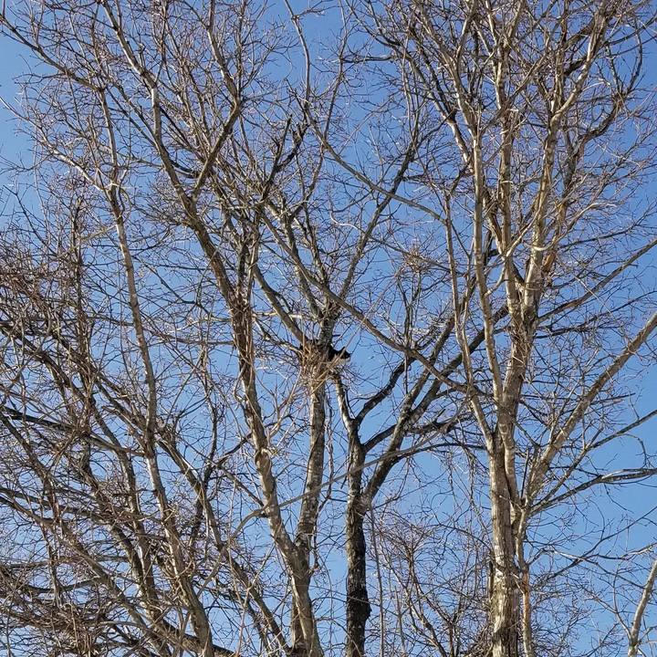 0d87e394 a645 4bc3 a241 c192dcdd37bb 1615423929872