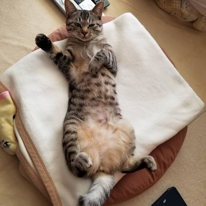 0d881055 c3db 4156 ad3b d881bcdcad17 1678110929437