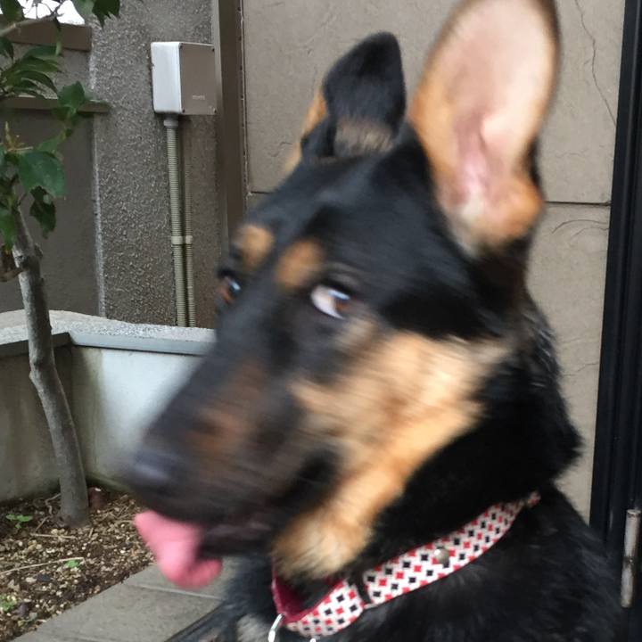 0d881508 9168 4309 837e 347089fc3c0f 1519514810440