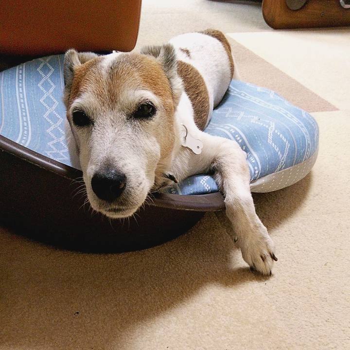 0d88bf5f dd3d 4890 80a6 4b2d40f702c3 1597100538188