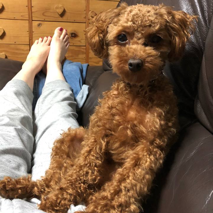 0d88c37e f45e 4c72 ab05 978c2844ff68 1526134981609