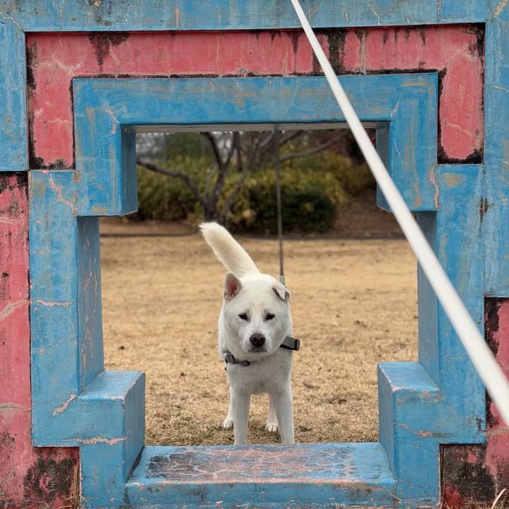 0d88d7ed 624e 4e73 a7f4 5a7ef0552f73 1768177831724