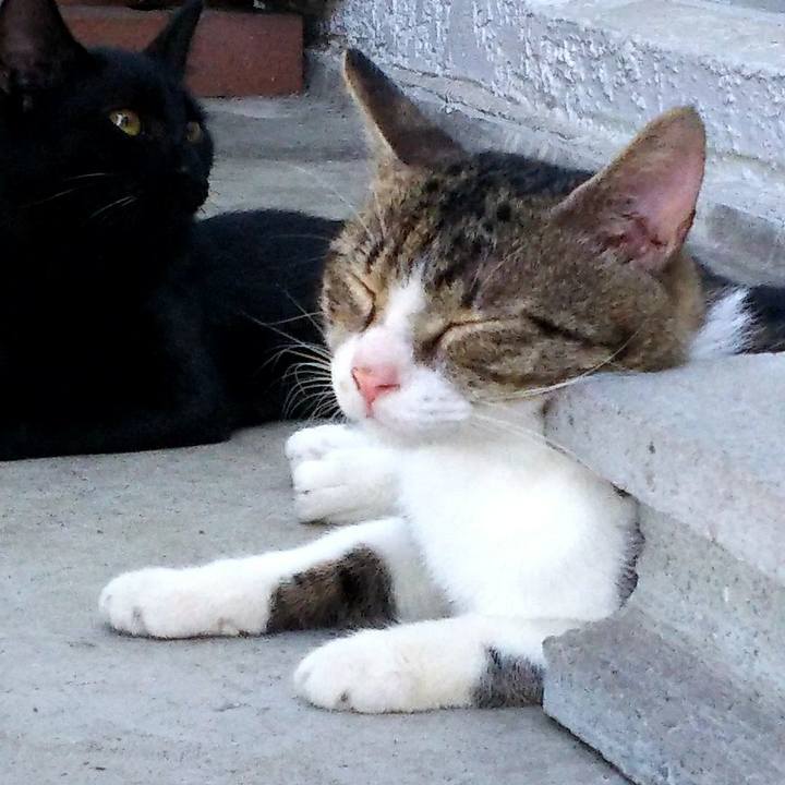 0d88e696 a067 42d2 bd43 46573aab1d16 1534928970622