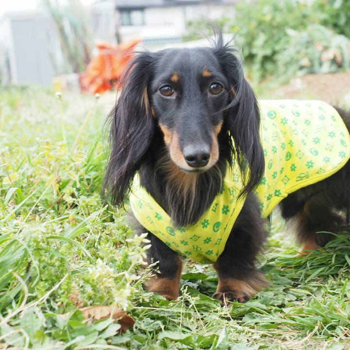 0d88e794 50a4 4038 ad65 22a97ac08c69 1524449517208