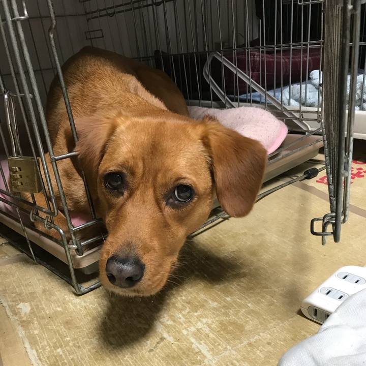 0d88ec58 301b 47b0 afd0 6874faabd978 1514280680196