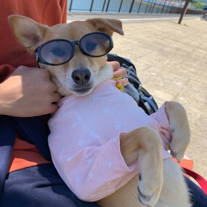 0d890450 4bbc 49fd 9e7d a222e40a50e9 1587308771445