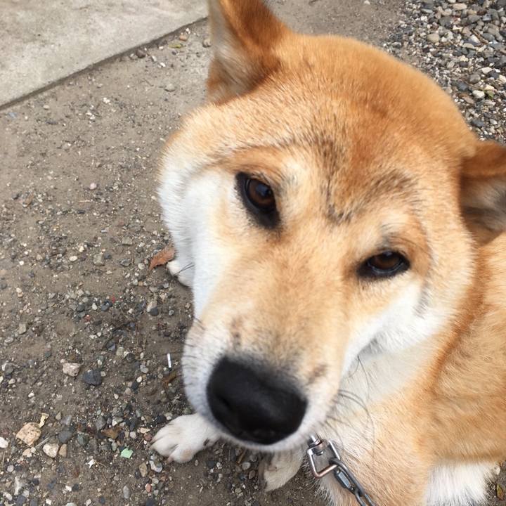 0d893146 ae1c 476b 923f b409e015780c 1529328656921