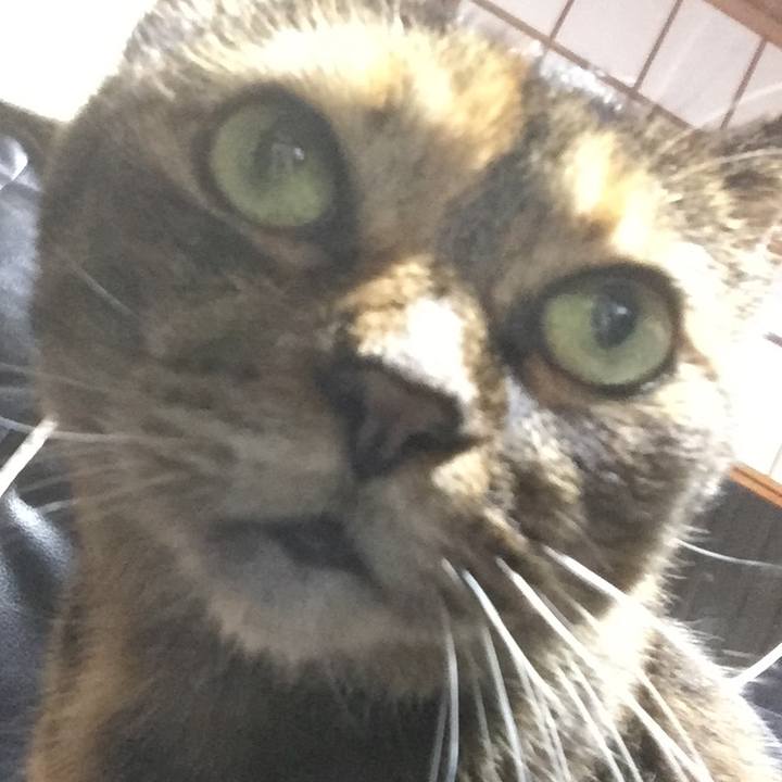 0d895f0e 6016 4f13 a1ee d373bcbbdde4 1538470601132