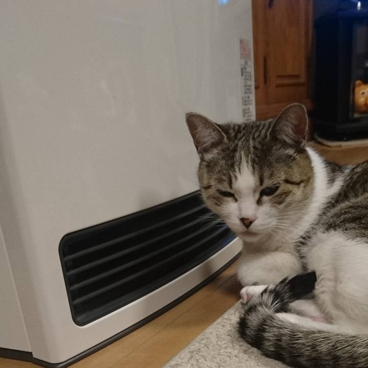 0d896085 35fd 47c5 83cc 072317f2721b 1769467895788