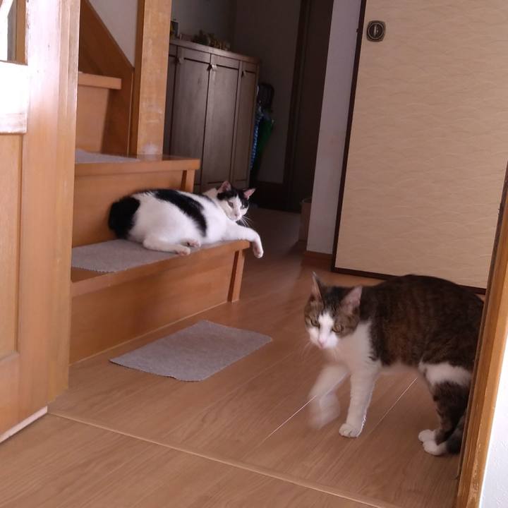 0d89cb75 cb63 4be4 a3ef bc5892e985ac 1535237954284