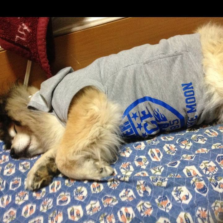 0d89df89 f64e 4ec0 b9ad 3075ad233b6a 1601873140764