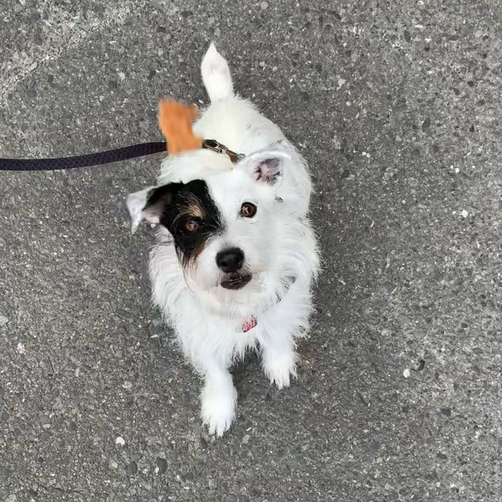 0d89ed00 a0a9 41cd a76a 6082c08b1e22 1691794053170