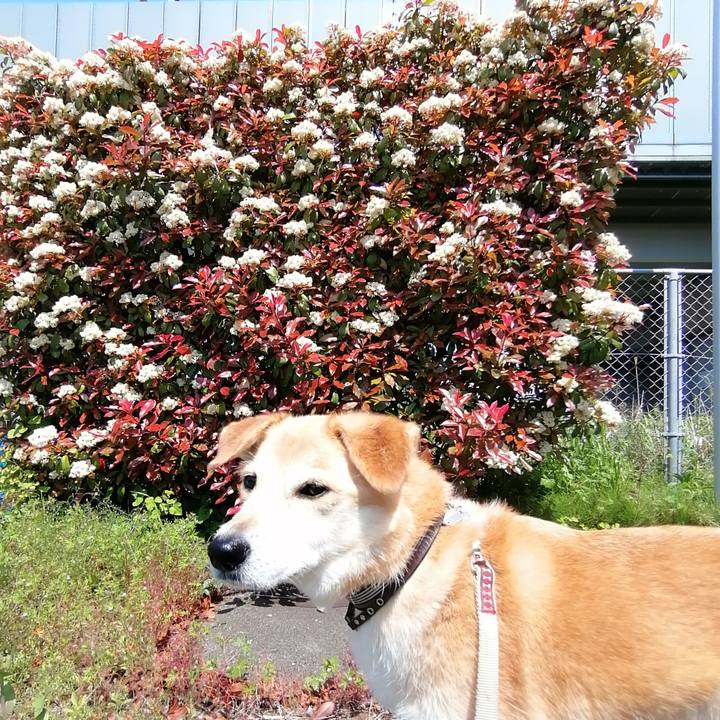 0d8a3601 98ef 42c1 abf0 a28dd0a01d39 1588215279360