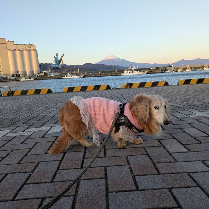 0d8ad296 f7ce 49fd bc7c 11f124cc732d 1769865717287