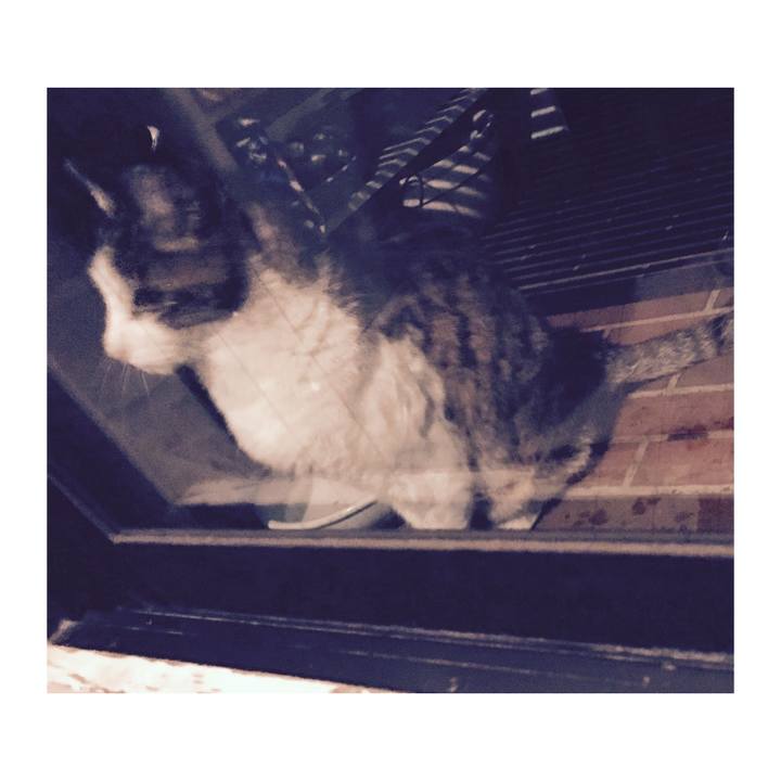 0d8ae9c5 f7ca 4067 9496 e1ad869d5de4 1648984463008