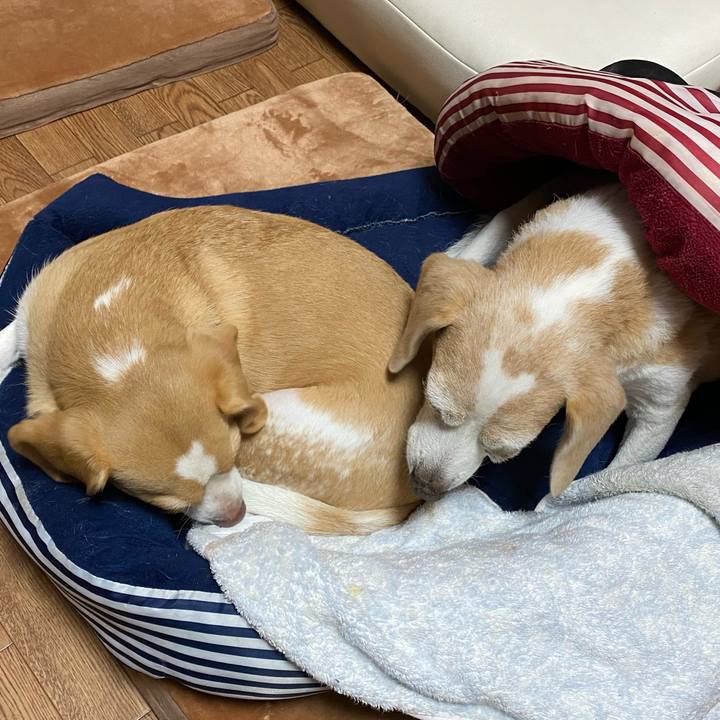 0d8af6b2 70f9 4413 8eb1 6d97f0cf9f91 1604536937191