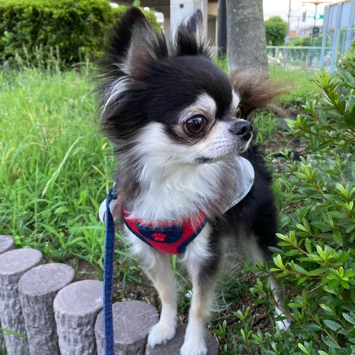 0d8b20dd 911f 45a6 a621 ab11a7aedea0 1718380611856