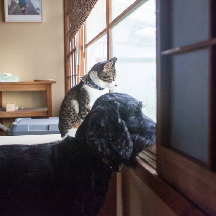 0d8b2969 aff2 4233 821a aeaf48c9b048 1572446910241