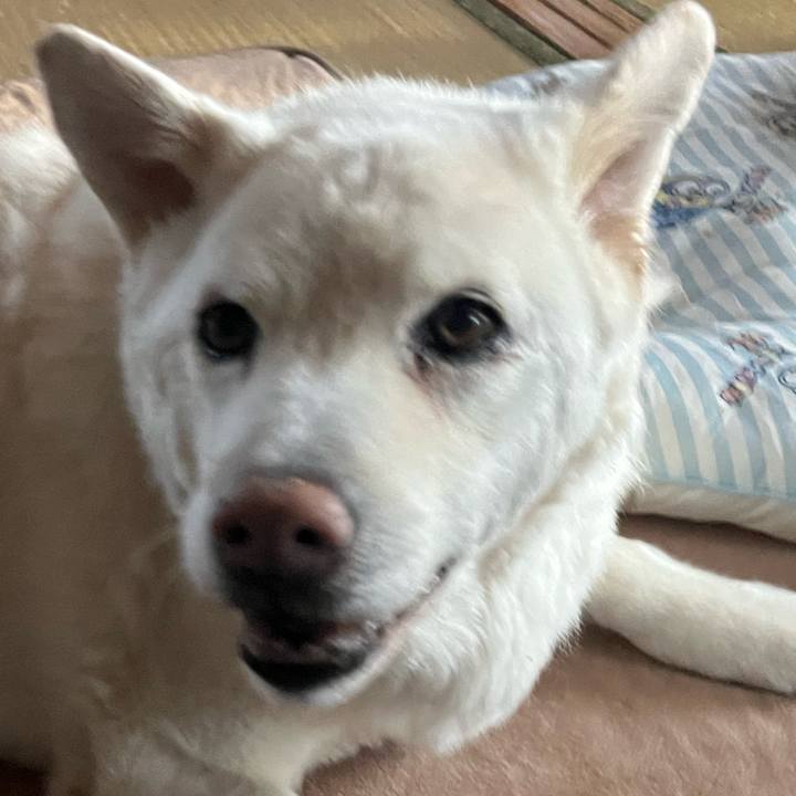 0d8b2e18 64bb 4ef1 9e25 70377298fc80 1769600760484