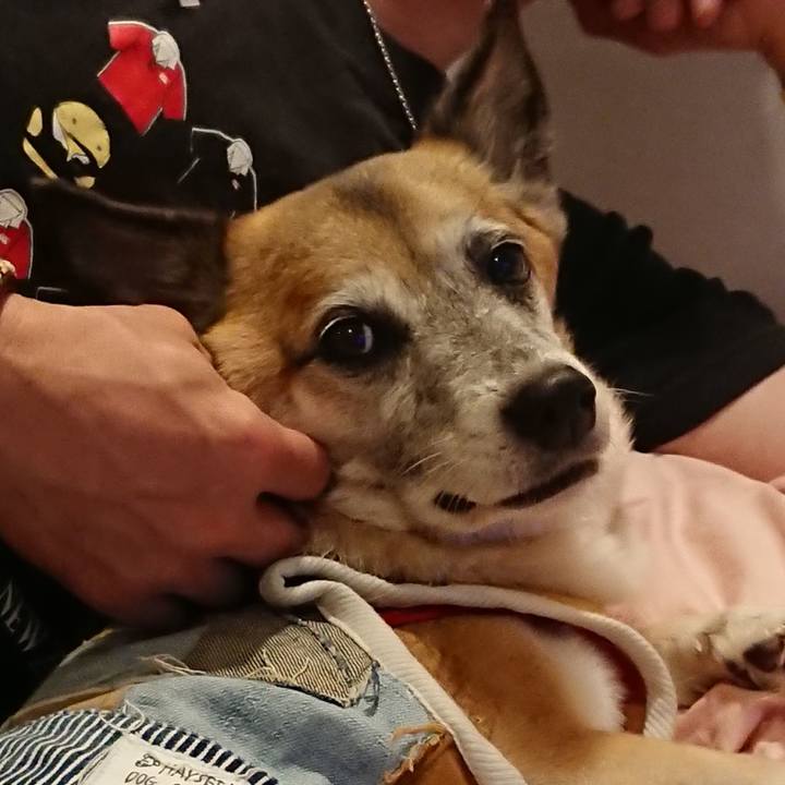 0d8b3708 0dc1 40d3 aef7 f4f8eccf7234 1566487495151