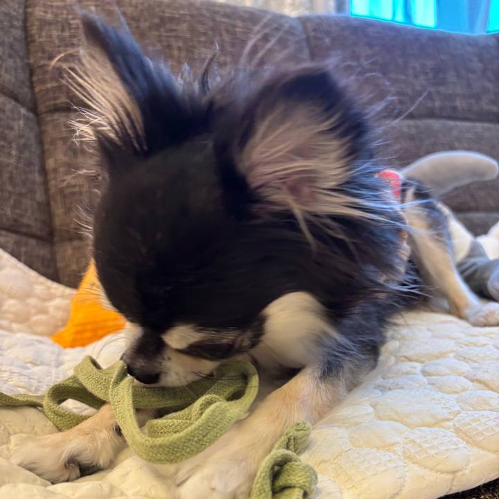 0d8b4b8f b97a 48cb a46e 867251fff913 1733673242273