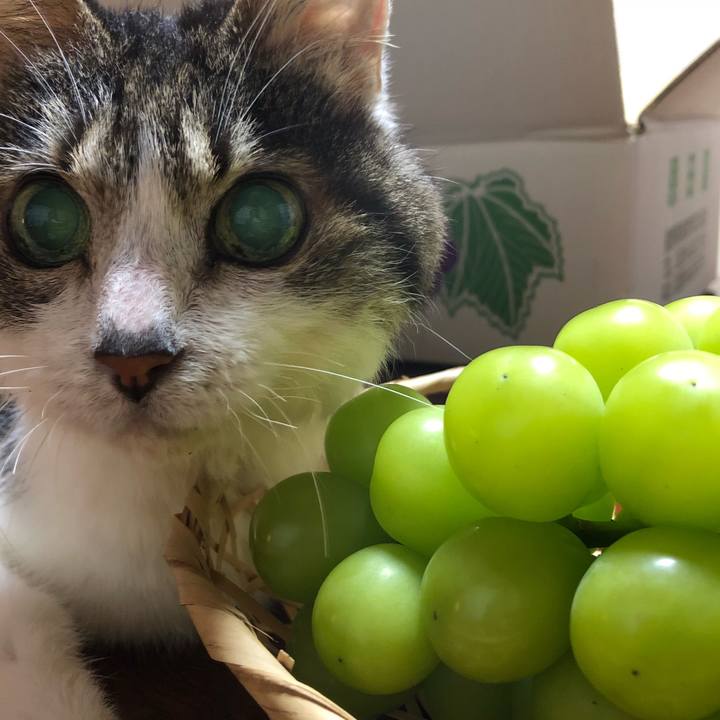 0d8b5824 09ce 46ba 8348 1e5f25b7860e 1537614363698