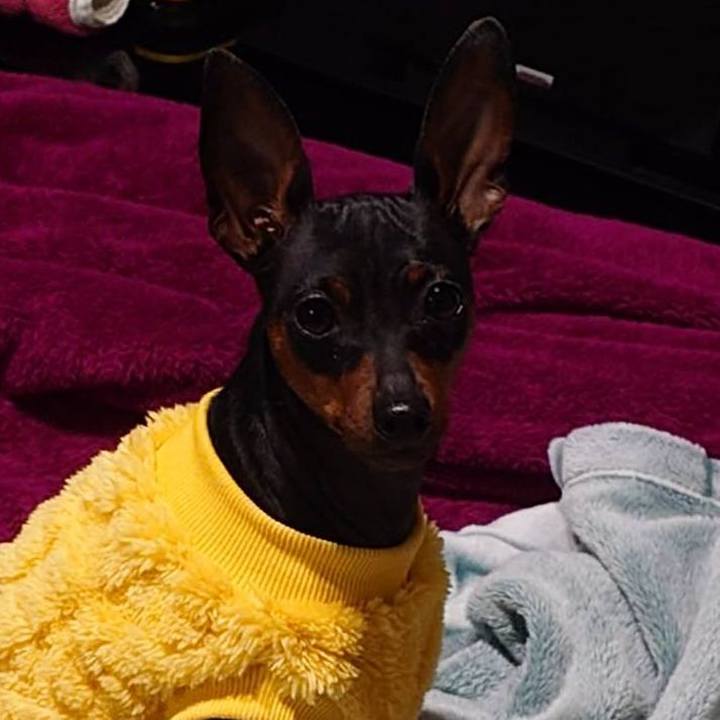 0d8b70d7 45a0 4170 943c 5fbca38cad93 1770631804176