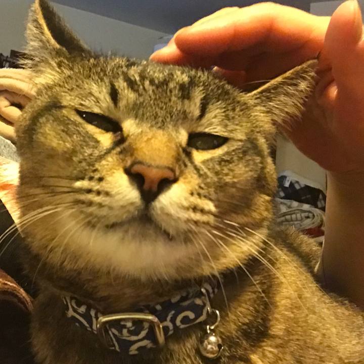 0d8b7ad9 2acd 45d9 9442 a50c734aa3d5 1524244787467