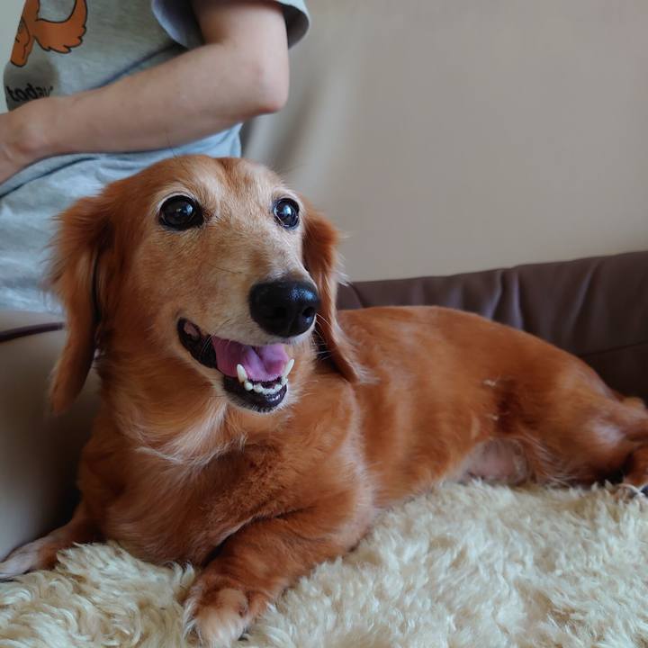 0d8b845c 4d3a 4ba8 91b4 fbda78257524 1758857555841