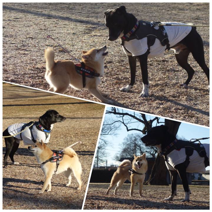 0d8b99b0 5f1b 4d0c 80d4 3c486915d101 1644196280326