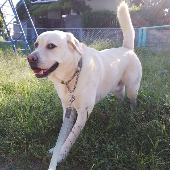 0d8baec6 543c 4c76 94c7 578286a6174f 1569593510084