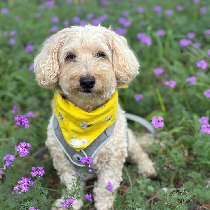 0d8bd3e1 61ff 466a a2e1 4002df4afd1f 1758771954879