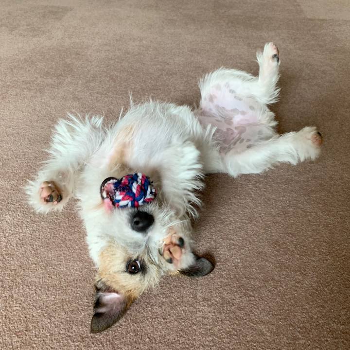 0d8c16fb af83 4762 be32 0b9963af4e23 1580689812306