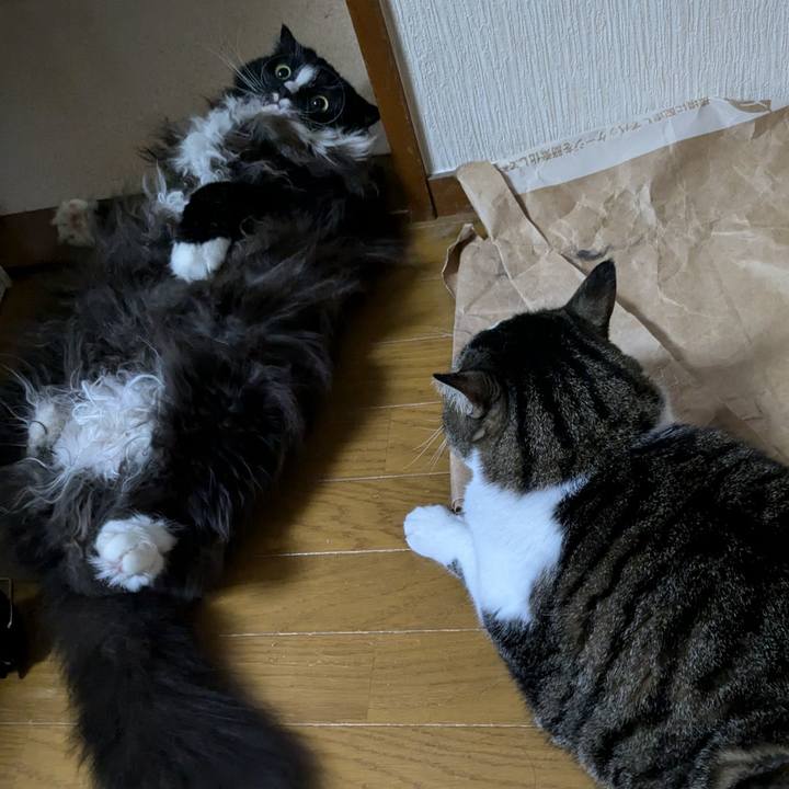 0d8c48d4 ea3e 405d 9a5c 520ad12eb329 1728602261709