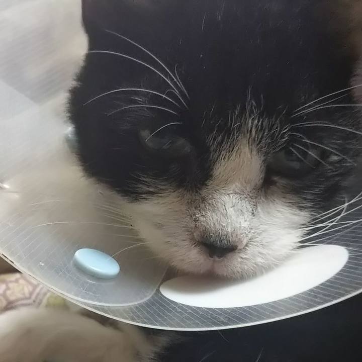 0d8c5bd3 d820 4b0f a634 eeb85de3912c 1604288028864