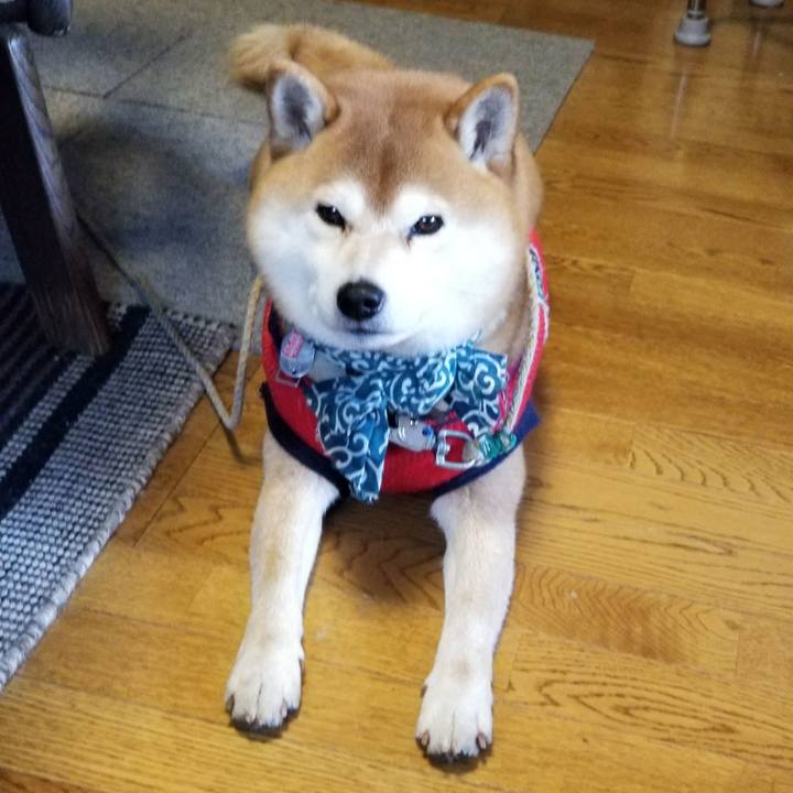 0d8cd95b c60d 4b55 9026 e3d76e80cebf 1516678780827