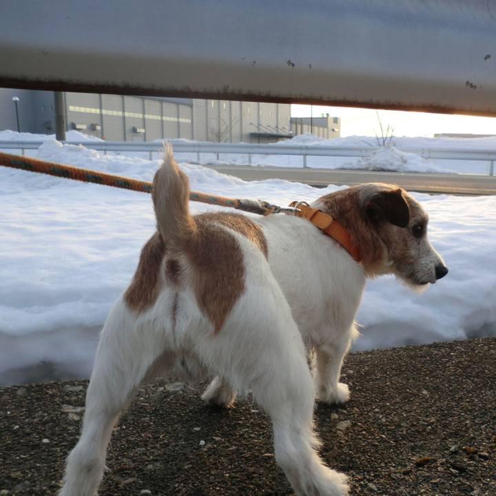 0d8d030d 6eaa 4fb5 8094 0e07d95f530f 1519304983411