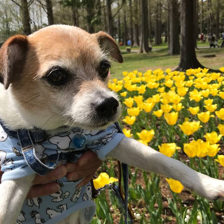 0d8d177c f09e 4360 ae50 f639529537bc 1649478904131