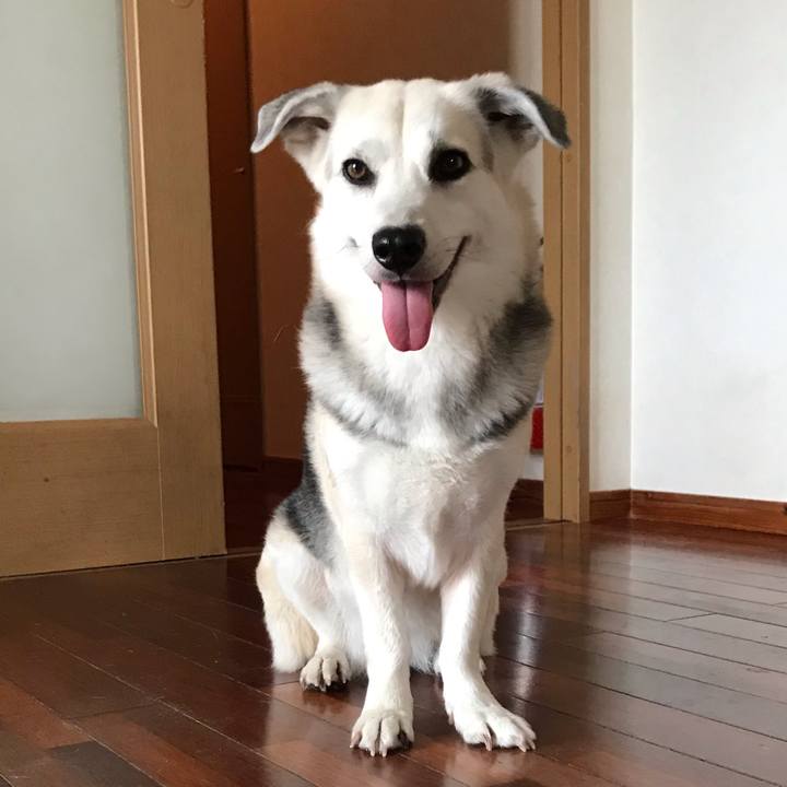 0d8d2000 da25 4900 8d2b 92976b47b337 1559221814341