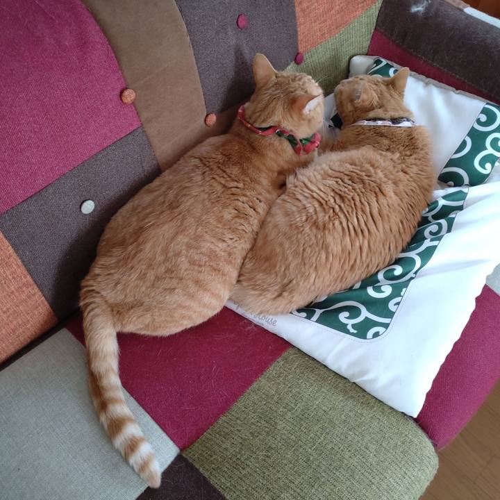 0d8d22a9 262e 408c aa3c f4ddd124df1f 1657699258025